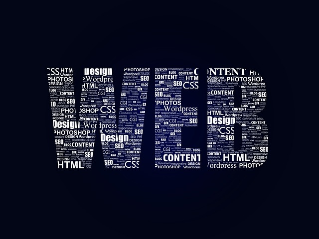 Web development word cloud forming the word WEB